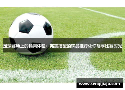 足球赛场上的畅爽体验：完美搭配的饮品推荐让你尽享比赛时光
